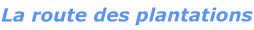 Route des plantations