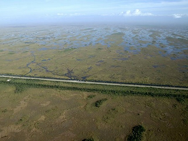 les-everglades-sur-la-mer