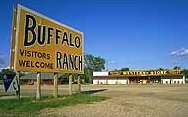 Buffalo Ranch